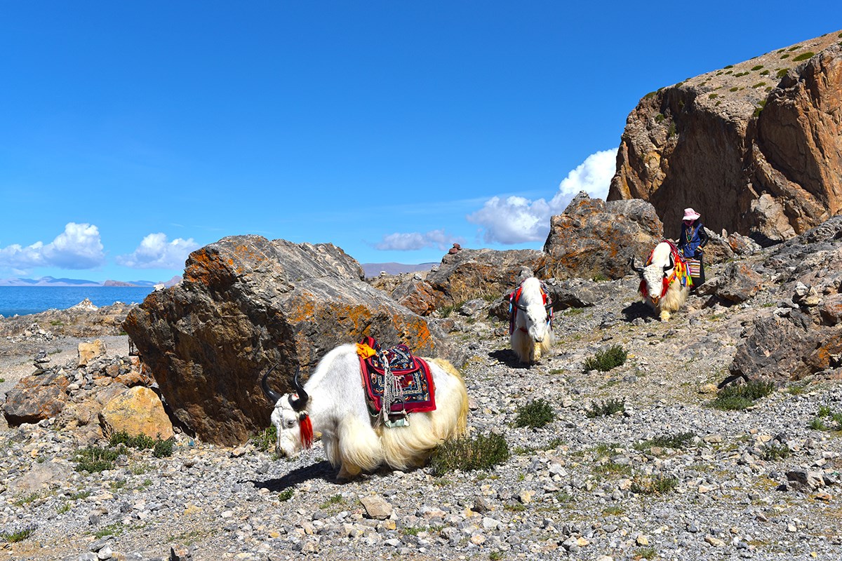 Nam Tso | Foto von Liu Bin